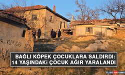 Bağlı Köpek Çocuklara Saldırdı: 14 Yaşındaki Çocuk Ağır Yaralandı