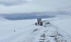 GÜNCELLEME - Kars'ta kar nedeniyle kapanan 20 köy yolu ulaşıma açıldı