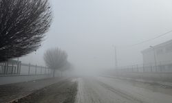 Iğdır'da sis, Kars ve Ardahan'da soğuk hava etkili oluyor