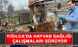Yığılca’da Hayvan Sağlığı Çalışmaları Sürüyor