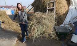 İstanbul'dan köyüne dönüp hayvancılığa başlayan kadın 3 yılda sürüsünü 4'e katladı