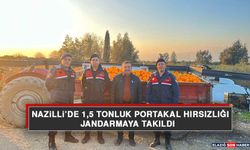 Nazilli’de 1,5 Tonluk Portakal Hırsızlığı Jandarmaya Takıldı