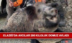 Elazığ’da Avcılar 200 Kiloluk Domuz Avladı