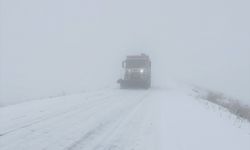 Kars-Göle kara yolunda kar ve sis ulaşımı olumsuz etkiliyor
