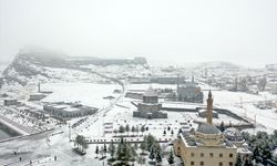 Kars ve Ardahan'da kar yağışı ile sis etkili oluyor