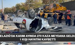 Elazığ'da Kasım Ayında 270 Kaza Meydana Geldi, 1 Kişi Hayatını Kaybetti