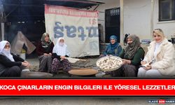 Koca Çınarların Engin Bilgileri İle Yöresel Lezzetler