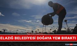 Elazığ Belediyesi Doğaya Yem Bıraktı