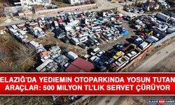Elazığ'da Yediemin Otoparkında Yosun Tutan Araçlar: 500 Milyon TL'lik Servet Çürüyor