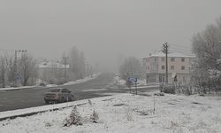Muş'un Varto ilçesinde kar etkili oldu