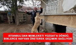 İstanbul’dan Memleketi Yozgat’a Döndü, Binlerce Hayvan Üreterek Geçimini Sağlıyor