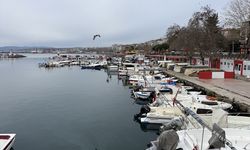 Tekirdağlı balıkçılar lodos nedeniyle 2 gündür denize açılamıyor