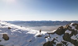 Tunceli doruklarında dağcıları ender görülen çengel boynuzlu dağ keçileri karşılıyor