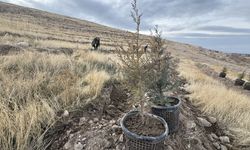 Türkiye'nin en kirli havasına sahip Iğdır'da bol oksijen için ağaçlandırma hamlesi