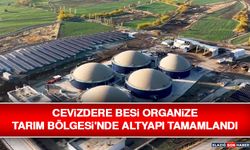 Cevizdere Besi Organize Tarım Bölgesi'nde Altyapı Tamamlandı