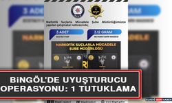 Bingöl'de Uyuşturucu Operasyonu: 1 Tutuklama