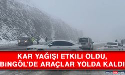 Kar Yağışı Etkili Oldu, Bingöl'de Araçlar Yolda Kaldı