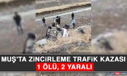 Muş'ta Zincirleme Trafik Kazası: 1 Ölü, 2 Yaralı