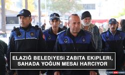 Elazığ Belediyesi Zabıta Ekipleri, Sahada Yoğun Mesai Harcıyor