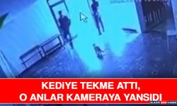 Kediye Tekme Attı, O Anlar Kameraya Yansıdı