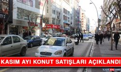 Kasım Ayı Konut Satışları Açıklandı