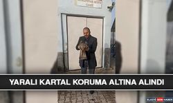 Yaralı Kartal Koruma Altına Alındı