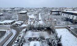Van, Bitlis ve Muş'ta kar etkili oldu