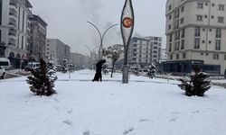 Van, Muş ve Hakkari'de 62 yerleşim yerinin yolu ulaşıma kapandı