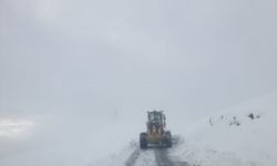 Van ve Hakkari'de ulaşımın sağlanamadığı 172 yerleşim yerinden 158'inin yolu açıldı