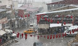 Van'da kar etkili oldu