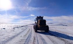 Van'da kardan kapanan 14 yerleşim yerinin yolu açıldı