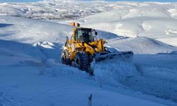 Bingöl'de 161 köy yolu ulaşıma kapandı