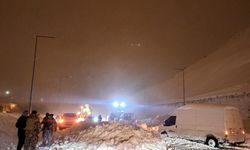 Bitlis'te 3 aracın üzerine çığ düştü