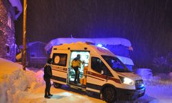 Bitlis'te ekipler yolu kardan kapanan köydeki hasta çocuk için seferber oldu