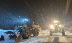 Bitlis'te kar nedeniyle Panor Dağı'nda mahsur kalan doğal gaz tankeri kurtarıldı