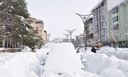 Bitlis'te yoğun yağış sonucu araçlar karla kaplandı