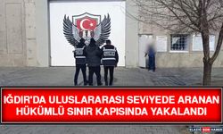 Iğdır'da Uluslararası Seviyede Aranan Hükümlü Sınır Kapısında Yakalandı
