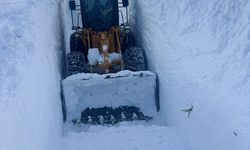 Çığın düştüğü Van-Çatak kara yolunda çalışmalar devam ediyor