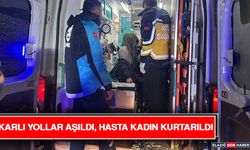 Karlı Yollar Aşıldı, Hasta Kadın Kurtarıldı