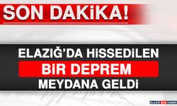 ELAZIĞ'DA HİSSEDİLEN BİR DEPREM MEYDANA GELDİ!