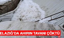 Elazığ’da Ahırın Tavanı Çöktü