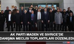AK Parti Maden ve Sivrice’de Danışma Meclisi Toplantıları Düzenledi