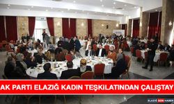 AK Parti Elazığ Kadın Teşkilatından Çalıştay