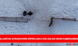 Elazığ’da Doğaseverin Köpeklerle Zor Anları Dron Kamerasında