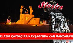 Elazığ Çaydaçıra Kavşağı'nda Kar Manzarası