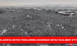Elazığ'da Beton Yığınlarının Arasındaki Beyaz Vaha Mest Etti