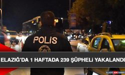 Elazığ’da 1 Haftada 239 Şüpheli Yakalandı