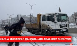 Karla Mücadele Çalışmaları Aralıksız Sürüyor