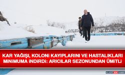 Kar Yağışı, Koloni Kayıplarını Ve Hastalıkları Minimuma İndirdi: Arıcılar Sezonundan Ümitli