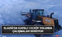 Elazığ'da Kapalı 115 Köy Yolunda Çalışmalar Sürüyor